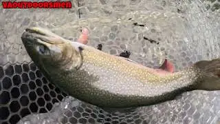 3 CITATION BROOK TROUT In One Evening Fishing Roanoke River 2024 Epic
