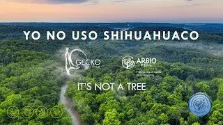 SHIHUAHUACO: An Ancient Tree (Gecko Group)