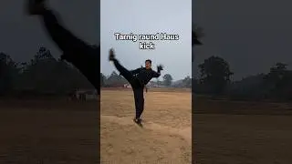 kung-fu martialarts lanrnig for tarnig raund Haus kick 12