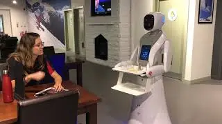 Amy Waitress in Action