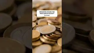 Breaking down the Madlanga Comission budget