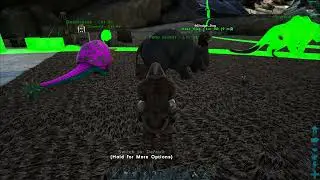 Our Phiomia is a Poo Shooter in Ark: Survival Evolved