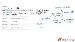 Melatonin delays puberty by opposing the action of