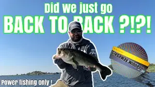 They live in HEAVY COVER ! Boskop Dam Bass Fishing 