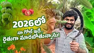 2026లో నా గోల్ ఇదే.. డిజైనర్ నుంచి రైతుగా మారబోతున్నాను! 🌱