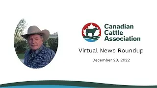 COP27 Update with Bob Lowe