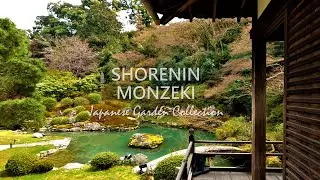 Pond Garden, Moss Garden, Bamboo fence | Japanese Garden Tour in KYOTO | SHORENIN MONZEKI
