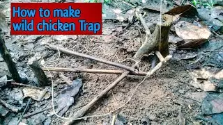 Crafting Primitive Traps Skills You Need to Know Sri Lanka 🇱🇰 SL Ns Vlog