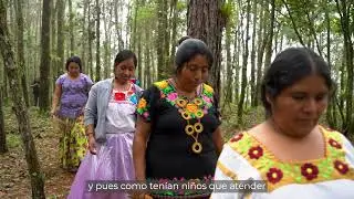 CONAFOR. GreenMex / San Francisco Coatlán, Oaxaca