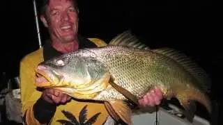 Apsley Straight Fishing with Agent 86 - 3rd Sept 2014