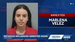 TikTok Lawyer Gets Arrested Again By No Nonsense Florida Cops