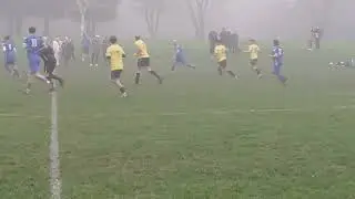 dec refs clips