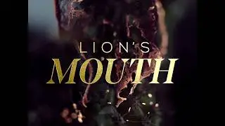 Lions Mouth // Bright November