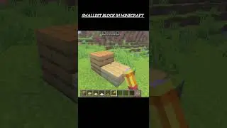 smallest block in Minecraft 🔥🥱 #shorts#ytshorts#youtube