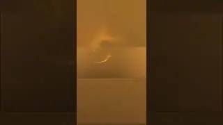 Sharks living in volcano 🌋