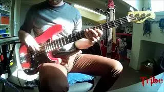 Tribe Spike Bass 4 strings by Stefano Forcella