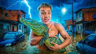 Peguei Um Jacaré Na Chuva