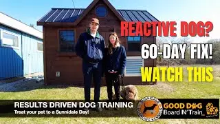 Reactive Dog? Watch This Incredible 60-Day Fix!