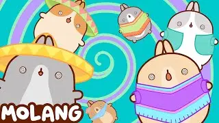 Adventures Of Molang and Piu Piu | The Mariachis | Funny Cartoons | Cartoon Candy