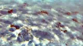 MV 창작가요단  