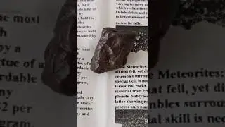 Chondrite meteorite from Sahara desert, north west AfricaFound 1995Weight 22 grams