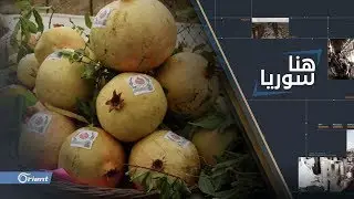 رمان أشكال ألوان.. مهرجان وجوائز لمزارعي الرمان في دركوش