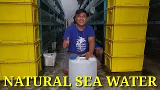 BELI AIR LAUT . . . DIMANA YA?