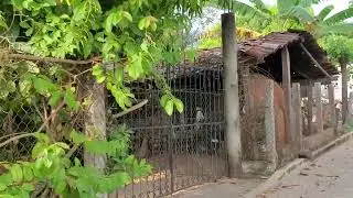 LA MURALLA IXT, OAX. 1RA. PARTE DEL REZO A LA VIRGEN DE JUQUILA 2025