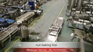 industrial nut drying/roasting line continuous drying machine nut processing line