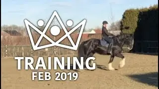 Training February 2019