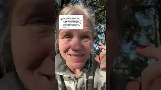 Equine Allergies