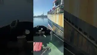 Ship having no engines being moved in Table Bay Harbour​. #shortsvideo #ship #boat