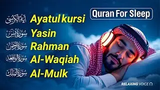 Beautiful Quran Before Sleep | Al-Fatiha,Ayatul Kursi,Surah Ar-Rahman, Al-Mulk, Yasin