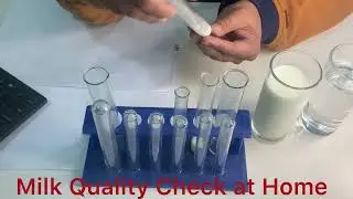 Milk Testing at Home #Easy way to #Milk #test #testing milk without #Chemical #Pure milk #detergent