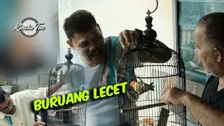 BURUANG LECET - KINCIA TUO KOMEDI
