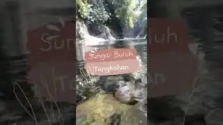 Explore Tangkahan