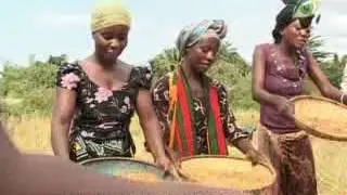 KWAYA YA MT. MATHIAS MULUMBA - KYELA. AMEENEA BY MUKASA