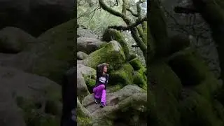 Hiking Adventure at Castle Rock State Park #california #shorts