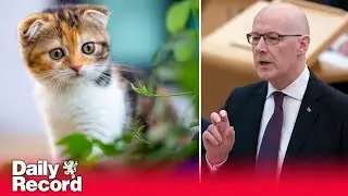 Scottish Government has &lsquo;no intention&rsquo; of banning cats says First Minister John Swinney