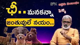 Monogamy and S*x- జంతువులను చూసి మనుషులు నేర్చుకోవాలా? | Times of India recent article explained