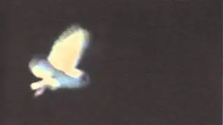 08 Mark Van Hoen - Channel of Light [Touch]