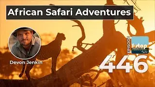 The Art of African Safaris