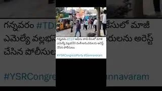 TDP Office Attack Case: Former YSRCP MLA's Follower Arrested in Andhra Pradesh
