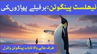 Penguin video why viral | Penguin viral video | Penguin depressed | Penguin Viral Video in Urdu