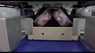 CPS CLP Casepacker - Chicken meat