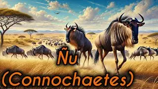 &Ntilde;u: El Guerrero de las Sabanas Africanas.