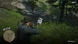 RDR2 Wolves Troubles (Appleseed Timber Co. Foreman Missable Encounter)