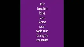 Ayrılığın Türküsü                                                  MÜRŞİT HAS