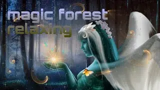 Magic forest  | Enchanted forest music | Meditation for students | sleep music |