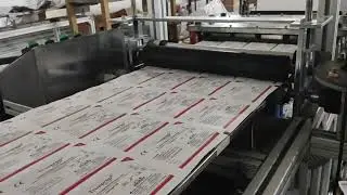 Fully Automatic Blister Packing Machine